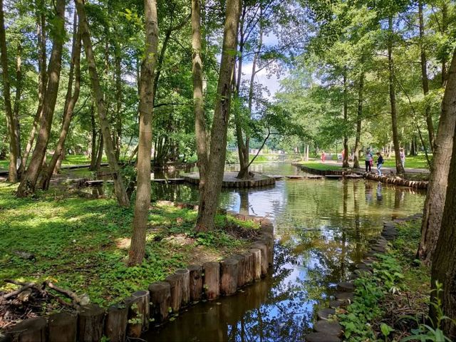 Forest Feels & Cat Surprises at Zelenogradsk City Park