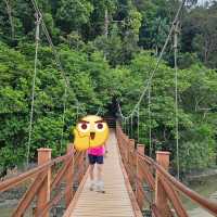 Discover Pantai Kerachut: A Hidden Gem in Penang National Park