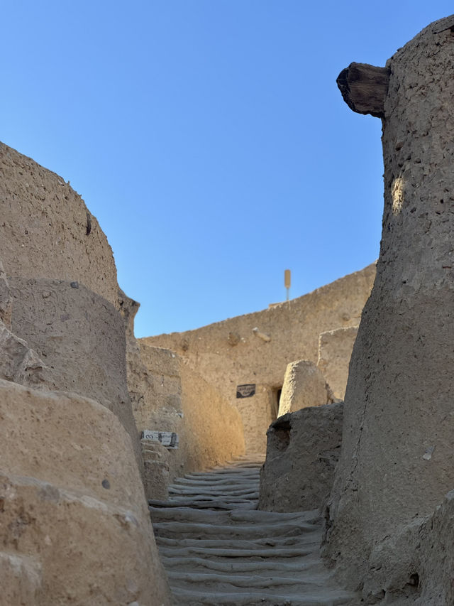 The Castle That Sweats Salt: Shali’s Last Stand