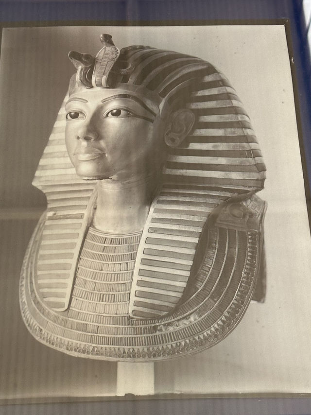Egypt’s Greasyest Flex: A Sickly Boy’s $650Millions Goodbye