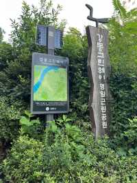 그린웨이 산책길