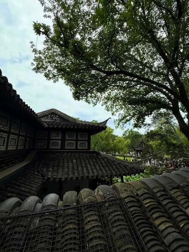 Humble Administrator’s Garden, Suzhou: A Timeless Masterpiece of Chinese Landscape Art 