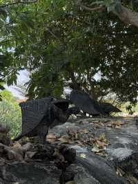 วัดสระเกศ: ความสงบกลางเมืองและวิวทิวทัศน์ 360 องศา
