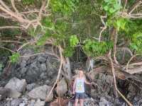 Unforgettable Stay at Phi Phi Island 