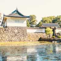 🏯 Step into History: Solo Visit to Tokyo Imperial Palace! 🇯🇵