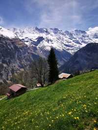 😇Mürren, beautiful like heaven