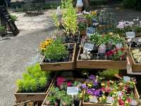 Ueno Farm