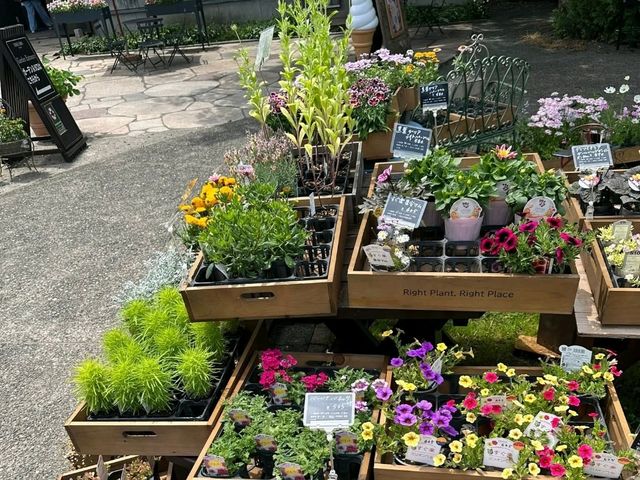 Ueno Farm