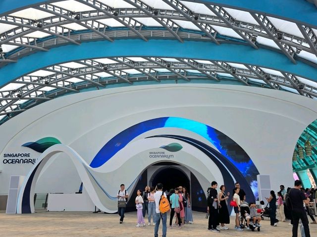 Dive Into Wonder at the New Singapore Oceanarium