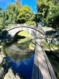 Quiet Moments at Koishikawa Korakuen Garden – Tokyo