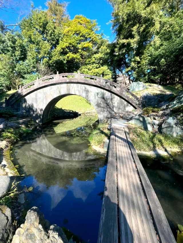 Quiet Moments at Koishikawa Korakuen Garden – Tokyo