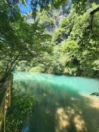 “Zhangjiajie Grand Canyon: Crystal Bridge over a Green Paradise”