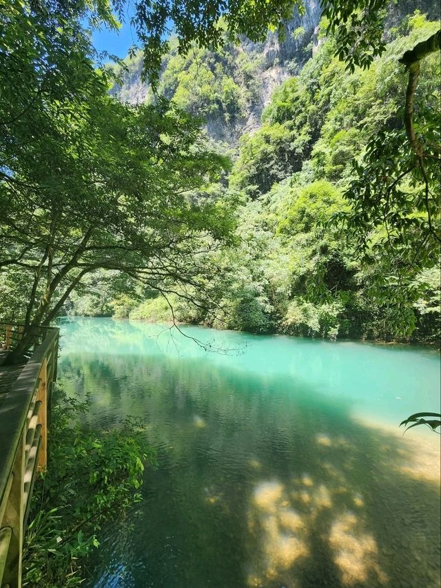 “Zhangjiajie Grand Canyon: Crystal Bridge over a Green Paradise”