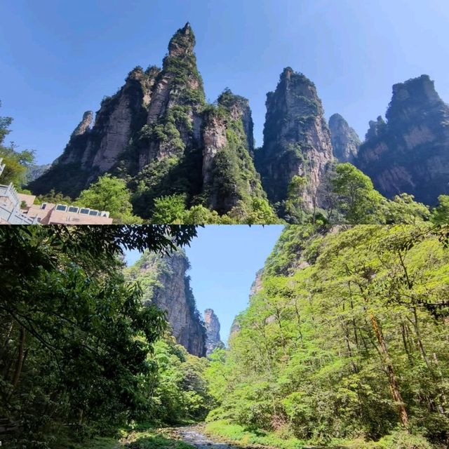 Into the Real-Life Avatar Mountains: A Zhangjiajie Adventure