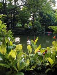 Chengdu Vibes: Chill Days, Spicy Nights