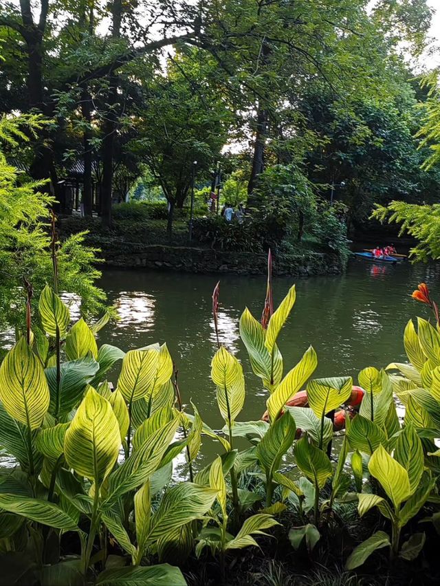 Chengdu Vibes: Chill Days, Spicy Nights