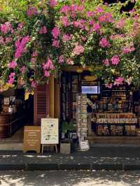 🇻🇳VIETNAM HOI AN🌼