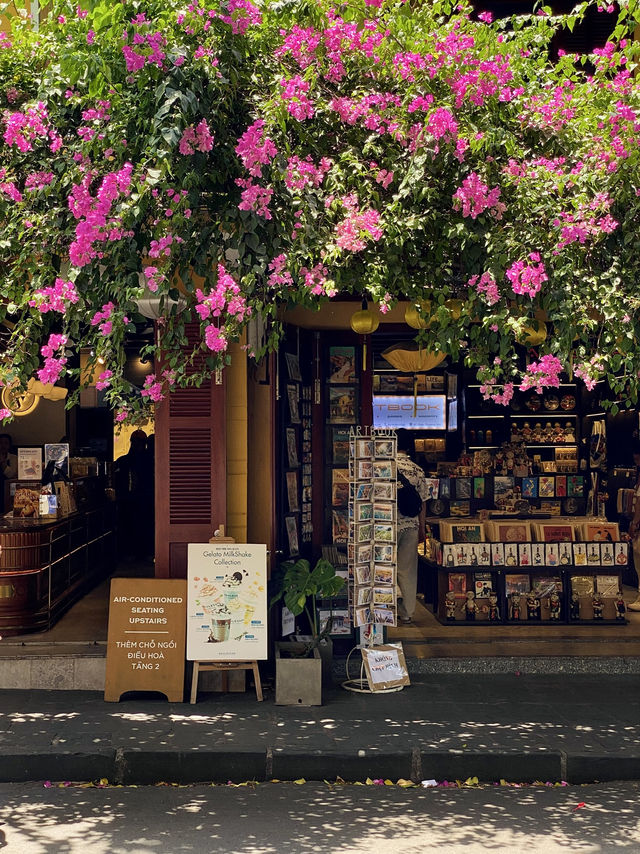 🇻🇳VIETNAM HOI AN🌼