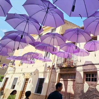 Lavender Dreams: Brihuega, Spain’s Hidden Provence