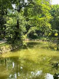 A Leisurely Day at Chengdu Renmin Park