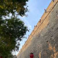 🏯 Xi’an City Wall — Cycling Through 600 Years of History