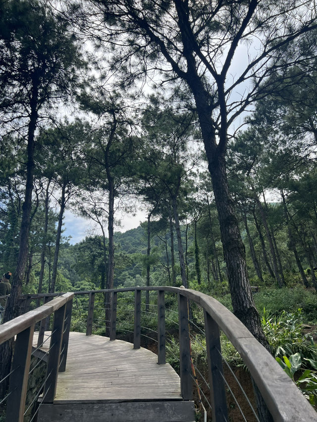 L’UM Coffee Hill (Đồi Llum)