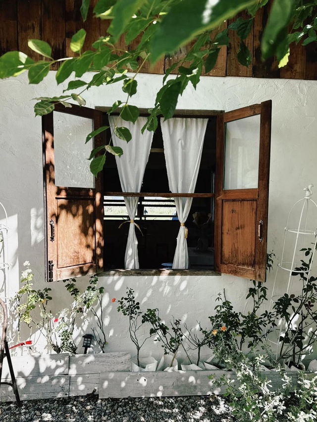 ✨ Sixth Sep cafe and farm ☘️🍃