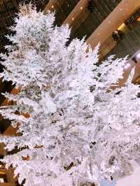 ✨ 丸の内クリスマス記録と2025 予測: 花と光の饗宴からマリオと共に彩る冬へ