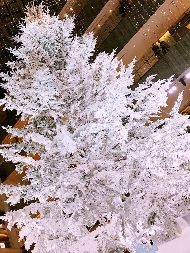 ✨ 丸の内クリスマス記録と2025 予測: 花と光の饗宴からマリオと共に彩る冬へ