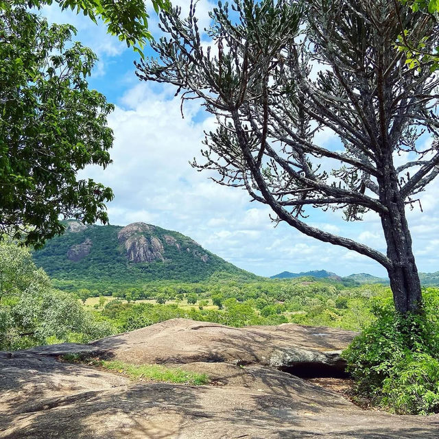 Serene Beauty of Hatthikucchi