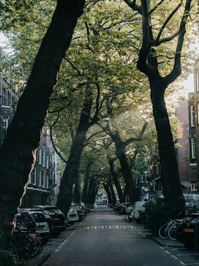 🇳🇱The Netherlands: Canals, Windmills & Tulip Dreams