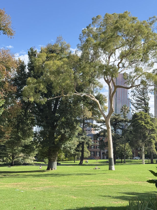 【Carlton Gardens｜墨爾本的歐式綠肺】