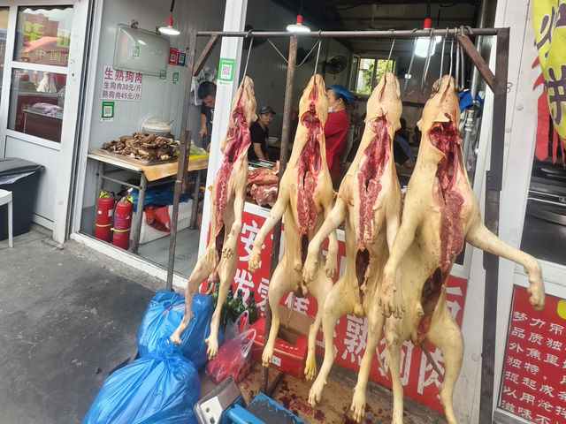 來了長春才知道～喝咖啡聊是非