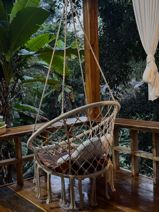 🌿✨ บ้านป่าเหมี้ยง หมู่บ้านเล็ก ๆ ท่ามกลางขุนเขา