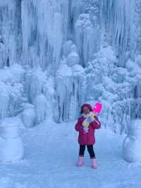 HARBIN, CHINA JAN 2025