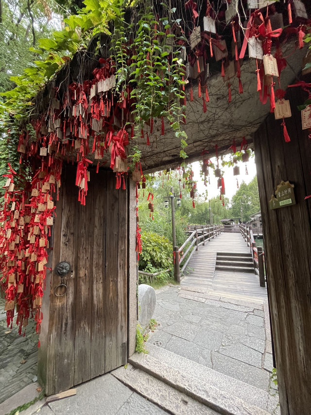 🇨🇳 Wuzhen Water Town - Is Wuzhen Worth the 2-Hour Drive? 🇨🇳 Wuzhen Water Town - Is Wuzhen Worth the 2-Hour Drive?