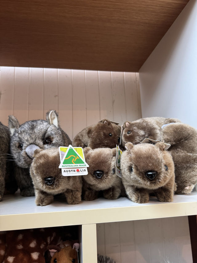 🇦🇺 塔龍加動物園（Taronga Zoo）是悉尼必游的世界級生態動物園