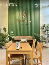 คาเฟ่สีเขียว เติมพลังธรรมชาติ 🌿☕✨