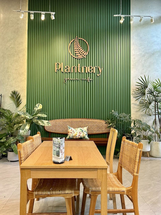 คาเฟ่สีเขียว เติมพลังธรรมชาติ 🌿☕✨