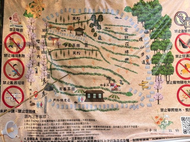 竹子湖故鄉金針花農園