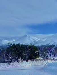 겨울 삿포로, 흰수염폭포의 눈 내린 풍경 ❄️🏔️