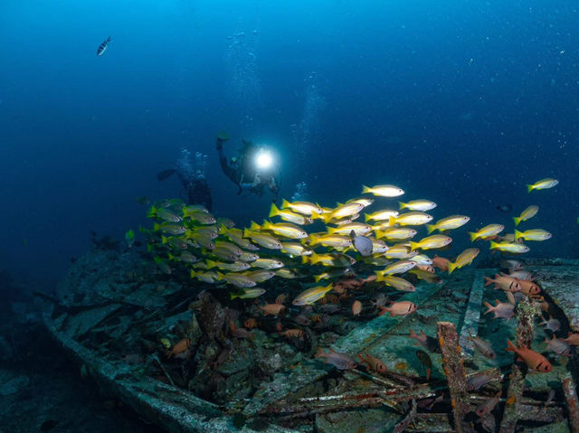 ดำน้ำที่ สิปาดัน สวรรค์ใต้น้ำ มาเลเซีย