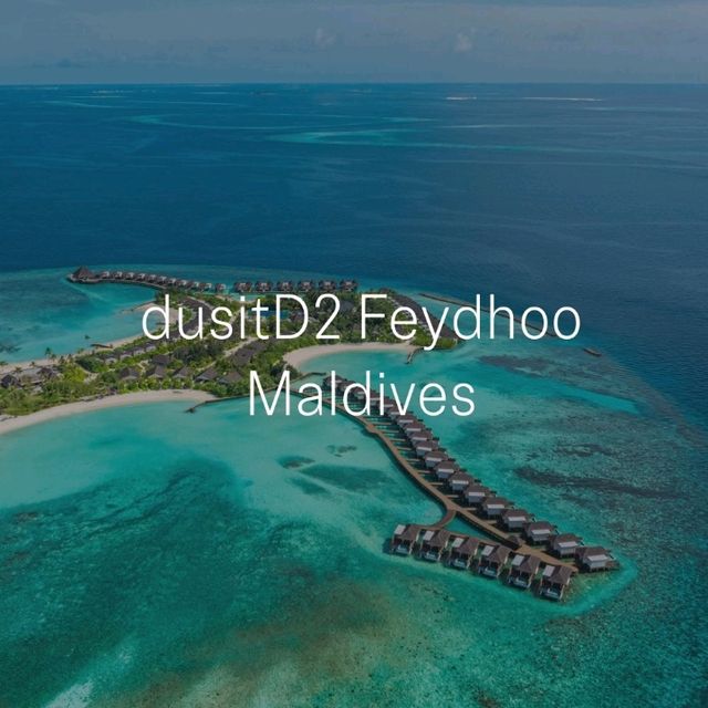 dusitD2 Feydhoo Maldives dusitD2 Feydhoo Maldives