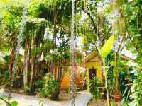 🏡🌿 สบายดี เฮาส์…ที่พักอบอุ่นใจกลางน่าน 🌿🏡