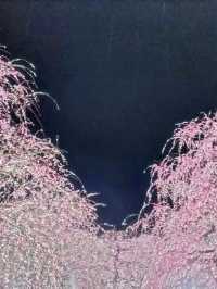 梅とグルメの一泊二日