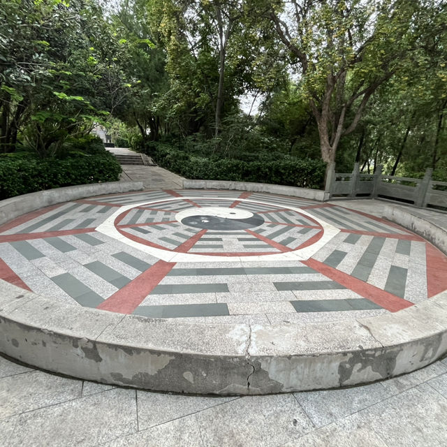 🌿 Zijing Mountain Park — Zhengzhou’s Peaceful Parkland with a Feathered Twist