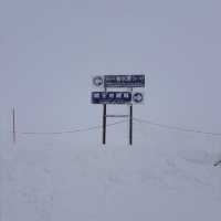 雪怪齊聚 ❄️ 冰封地藏王