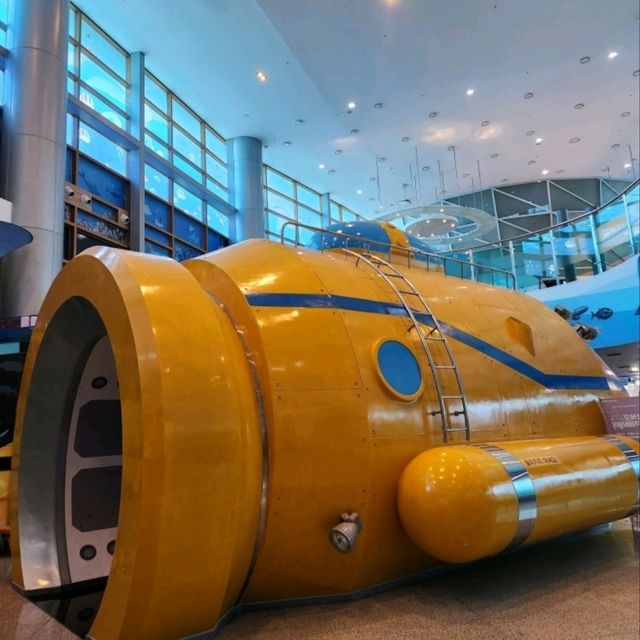 🌊 목포어린이바다과학관, 바다와 과학을 동시에 배우는 공간