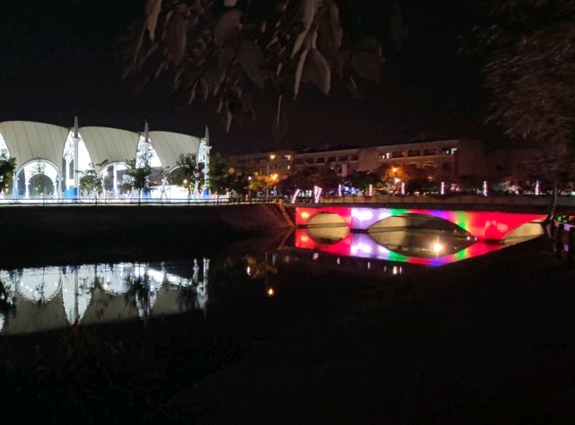 南台灣最繽紛的夜間盛會#屏東燈節（復興公園燈區）-屏東縣屏東市