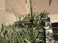 🌟 Sarv Restaurant – Near the Fire Temple, Yazd 